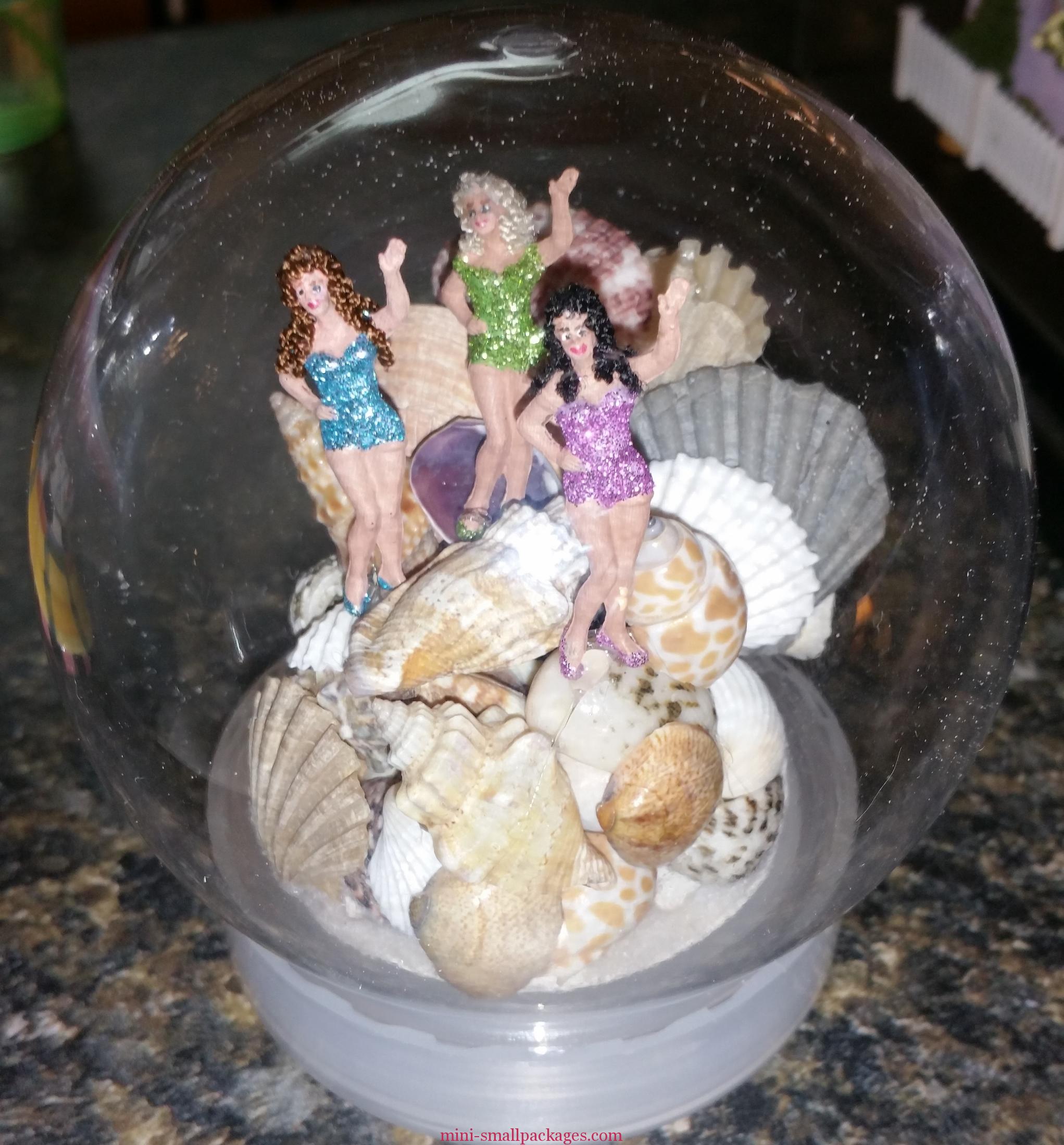 Read more about the article Seashell Dome