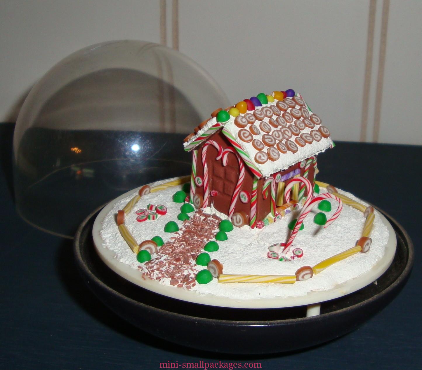 Read more about the article Gingerbread Dome